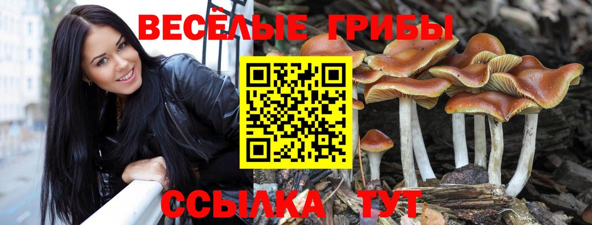 Псилоцибиновые грибы Magic Shrooms  Вход с VPN  Воркута 
